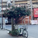 2024 Tokyo #2 (2/9-13)