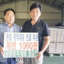 양림양계 이미지