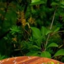 카페브런치지도사 자격증과정 이미지