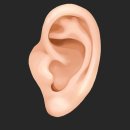 플라스틱성형외과의원 | 귀성형잘하는병원? 전문의가 전하는 조언 2가지