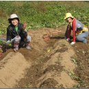 양지편2로 이미지