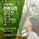 김태권컨텐츠