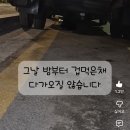 눈 속에 돌맹이 넣어서 길고양이한테 던지는 남초딩들 이미지