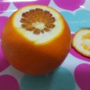 가영농장 이미지