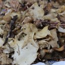 억수삼계탕 이미지