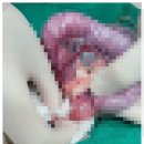 마음을읽어주는마음동물병원 네이버블로그