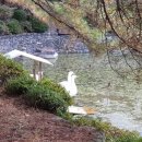 한옥촌신선마을 이미지