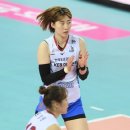 현대인삼 이미지