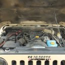 댕이의하루 이미지