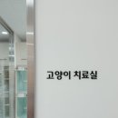 리엔동물의료센터 네이버블로그