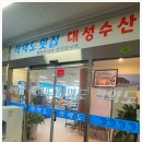 대성해물