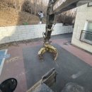 신우중기 이미지