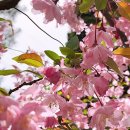 공간꽃조경 이미지