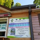 맹종죽테마공원 이미지