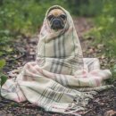 경희장수한의원 이미지