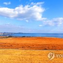 마장목장 연합뉴스