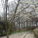 월성초등학교(병설유치원) 이미지