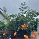 CU덕포중앙점 이미지