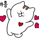 죠샌드위치원주 이미지