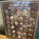 고반식당배곧아브뉴프랑