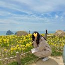 청학수선 - 연수구 비류대로278번길 8-3 | [부산] 부산의 봄, 수선화 보러 오륙도로-!(오륙도 해맞이 공원, 오륙도 스카이워크, 꿀 TIP)