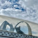 둥지박물관 이미지