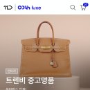 명품판다 이미지