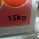 제주나영이네농장