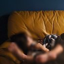 이즈플레이 | 이즈플레이 파티룸 영등포 방문후기 가성비 대규모 인원