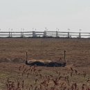 안성퓨전 이미지