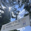 대관령목장 | 강원도 평창 놀거리 대관령 양떼 목장 입장권 가격 여행 후기
