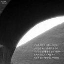 거짓과 진실 Daum카페