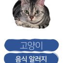 24시 코끼리동물병원 이미지