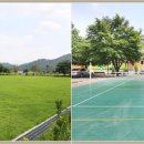 금풀애마을 이미지