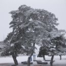 산들초등학교 이미지