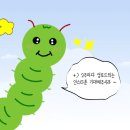 에코플라이 이미지