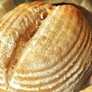 빵굽는파파 이미지