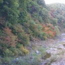 철암초등학교 이미지