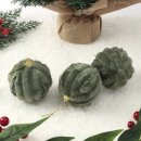 (주)그린퓨어 이미지