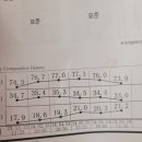 D+55 Yes or No, 인바디, 회피형, 샐러드, 패티 공부