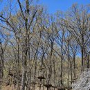 세영레포츠 이미지