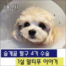 삼송사랑 동물의료센터 이미지