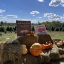 중부농장 | Alstede Farms 중부 뉴저지 농장 추천