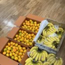 송화태권도 이미지