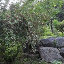 서당골농장 이미지