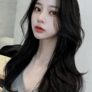 하울 바이 아이디헤어 | 인생 머리 찾으러 간 이곳, 일산미용실 하울 바이 아이디헤어 솔직 후기요!