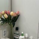 유 필라테스 이미지