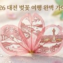 동구청 광장 | 대전 벚꽃 명소
