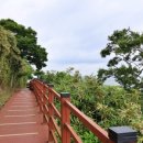 이래서 한국의 몰디브라 불리는 거구나.. 에메랄드빛 바다의 정체 이미지