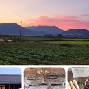 옹기문화의 집 이미지